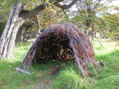 Maison bois hutte prhistorique